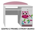 Biurko dziecięce SOWY 17 NB10 100x50 cm – z szufladą i możliwością personalizacji
