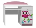 Biurko dziecięce SOWY 17 NB10 100x50 cm – z szufladą i możliwością personalizacji