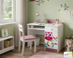 Biurko dziecięce SOWY 17 NB10 100x50 cm – z szufladą i możliwością personalizacji