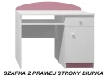Biurko dziecięce SOWY 17 NB10 100x50 cm – z szufladą i możliwością personalizacji