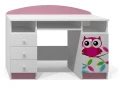 Biurko dziecięce SOWY 17 NB7 120x50 cm – z opcją cichego domyku